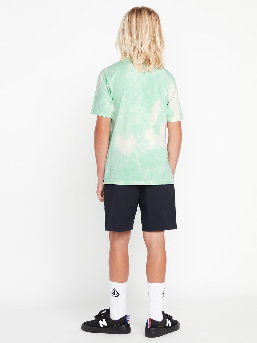 Big Boys Iconic Stone Dye Short Sleeve Tee - Ice