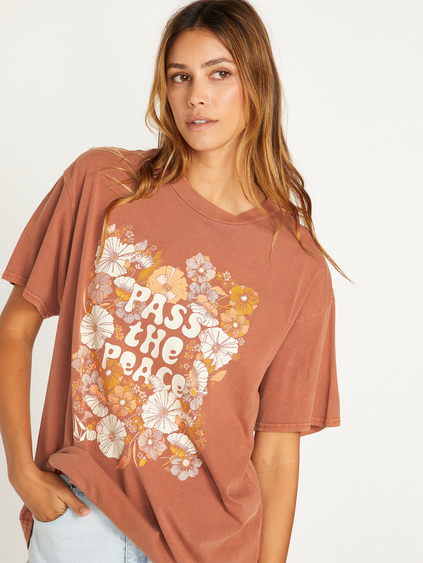 Stones Throw Tee - Dark Clay (B3512302_DCL) [1]