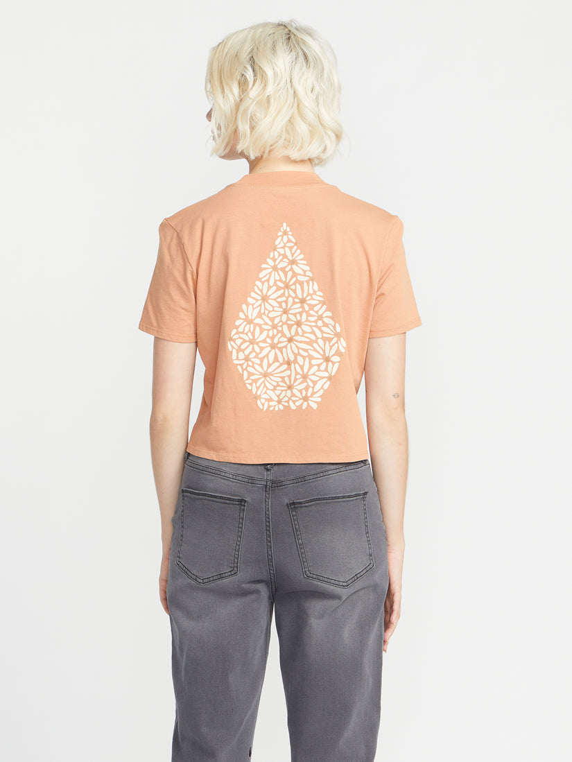 POCKET DIAL TEE - CLAY (B3532301_CLY) [B]