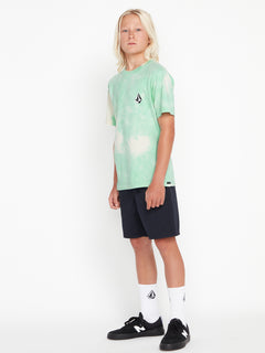 Big Boys Iconic Stone Dye Short Sleeve Tee - Ice – Volcom Canada