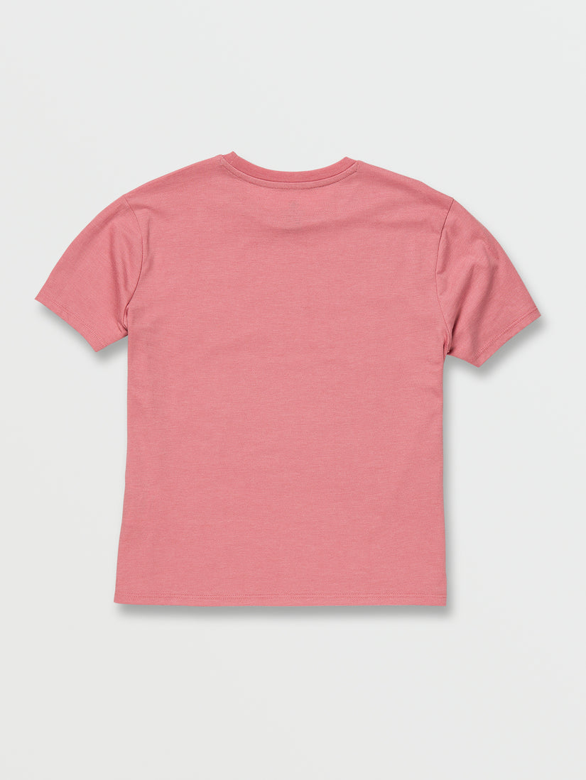 Girls Truly Stoked Boyfriend Tee - Desert Pink (R3512302_DSP) [B]